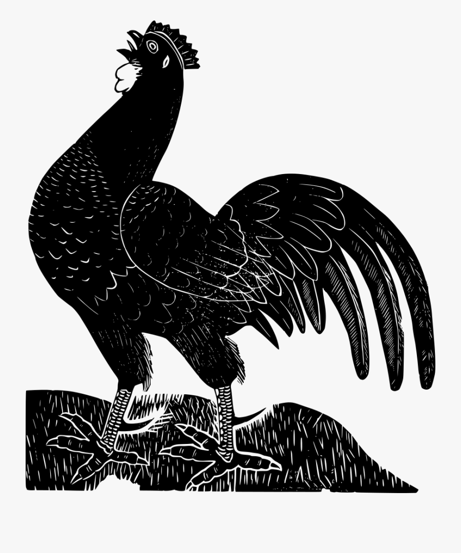 Black Rooster, Transparent Clipart