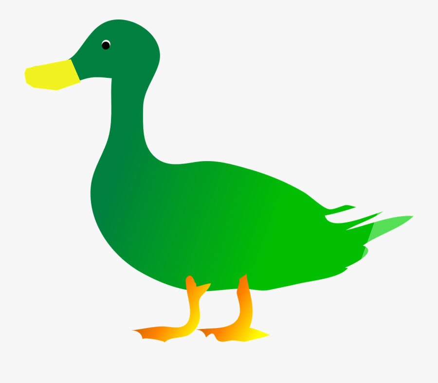 Green, Bird, Duck, Animal, Beak, Lake, Feathers, Quack - Green Duck Clipart, Transparent Clipart