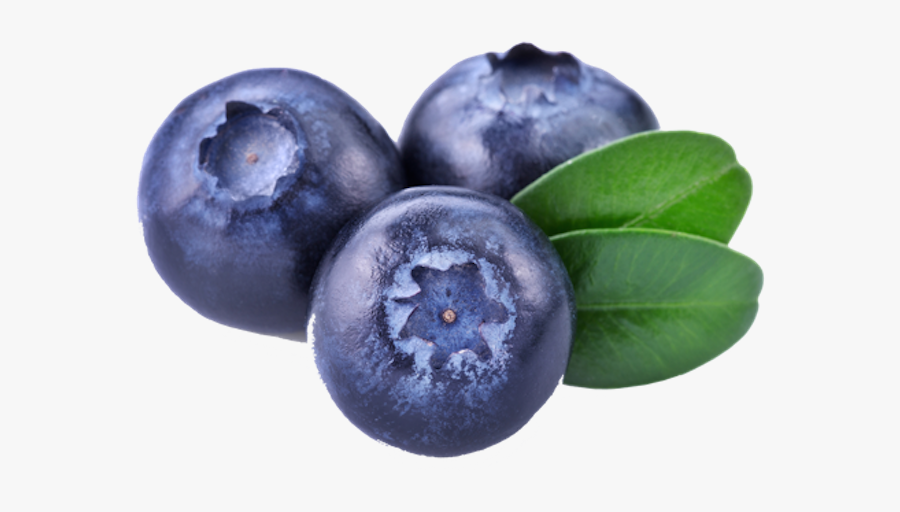 Blueberries Images Free Download - Blueberries Png, Transparent Clipart