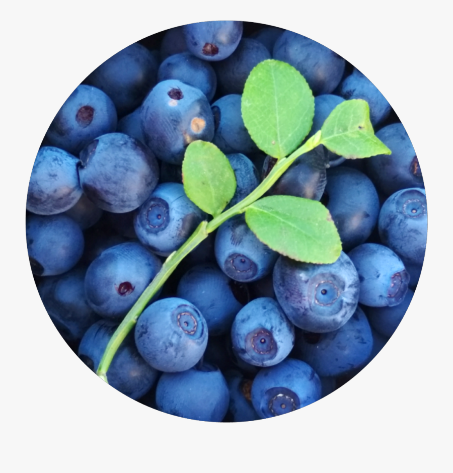#sctastyfood #tastyfood #blueberry #blueberries #blue - Blueberry, Transparent Clipart