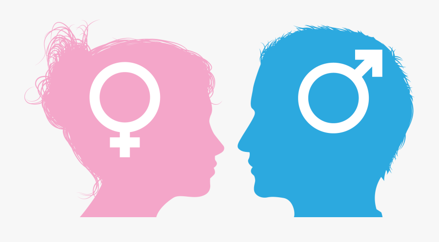 Gender Roles, Transparent Clipart