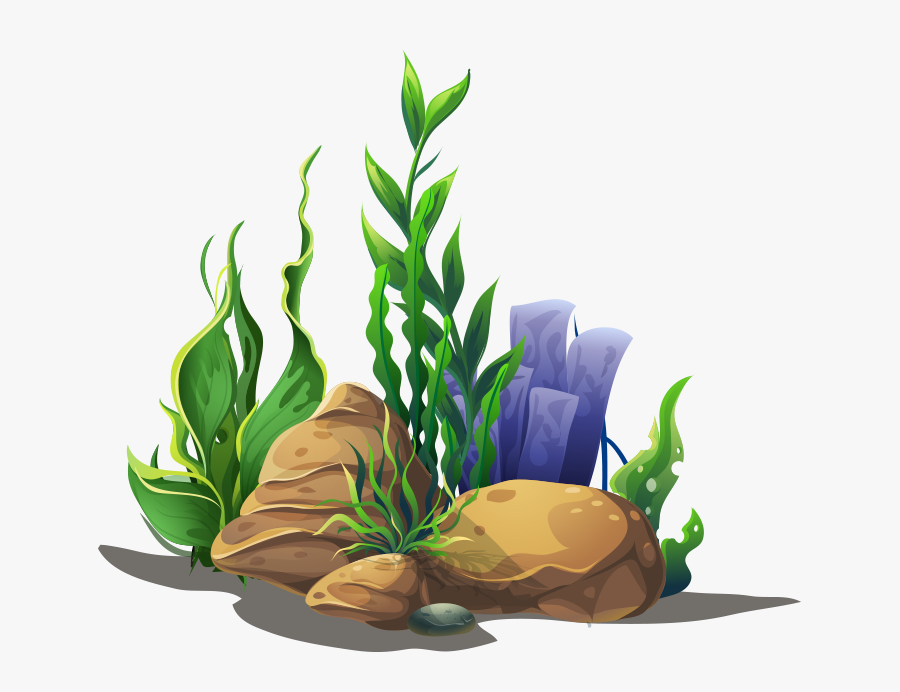 Aquarium Plants Cartoon Png, Transparent Clipart