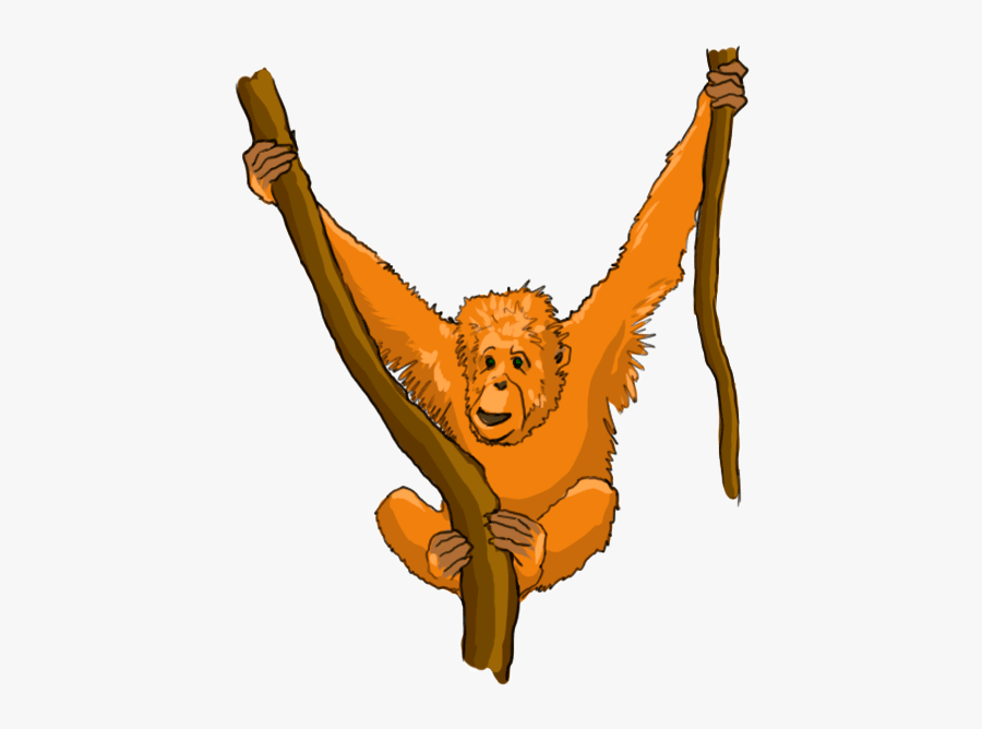 Cartoon Orangutan - Cartoon Orangutan No Background , Free Transparent ...