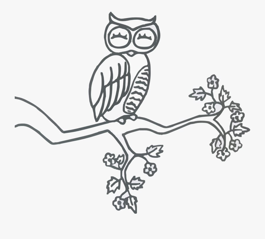 Owl Perched Sleep Free Picture, Transparent Clipart
