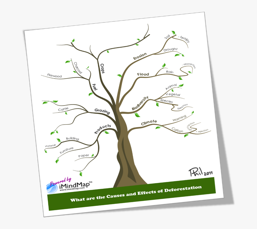 Causes And Effects Of Deforestation Or How To Make - Simple Mind Map Tree, Transparent Clipart