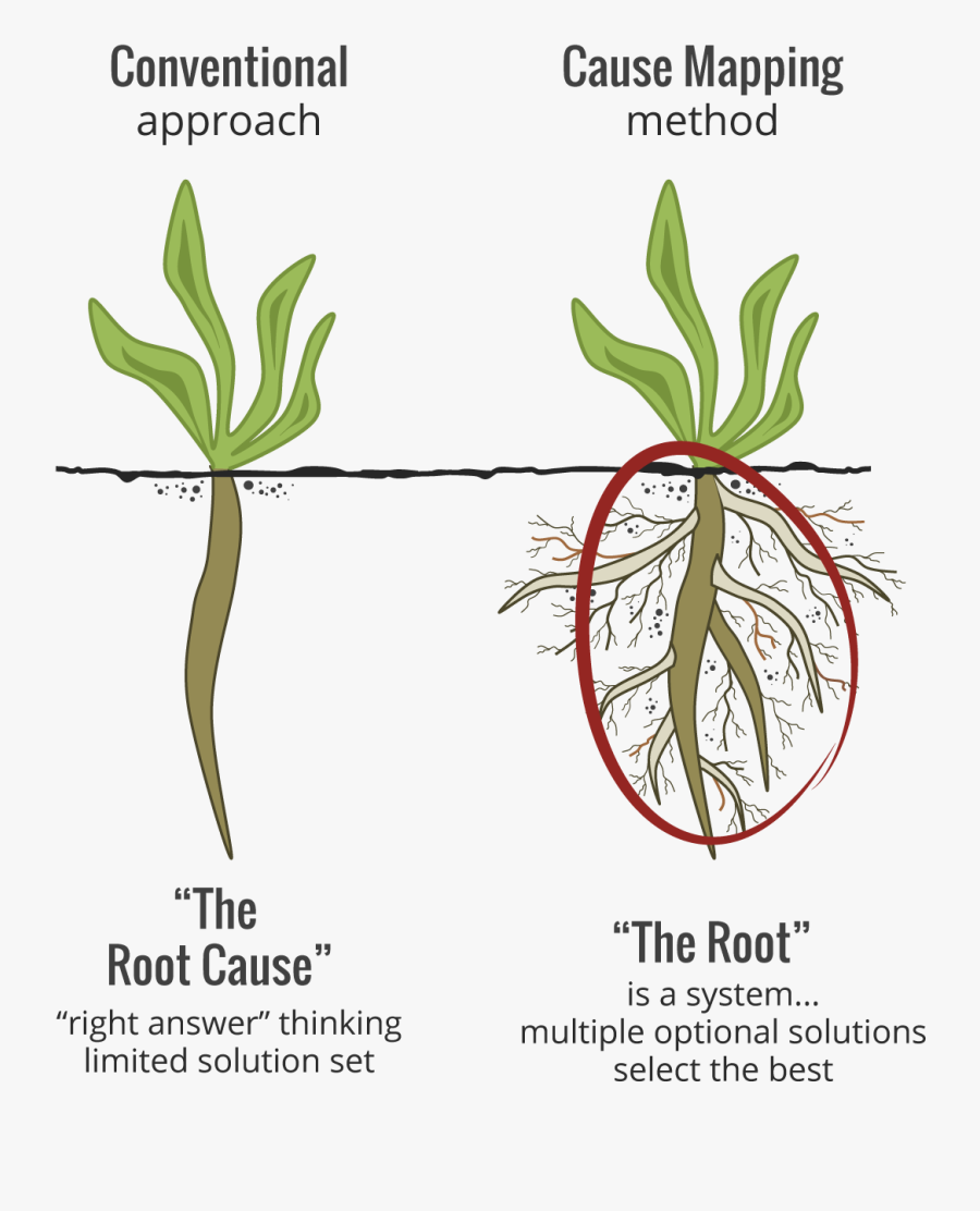 What Is Root Cause - Root Cause Analysis Meaning , Free Transparent ...