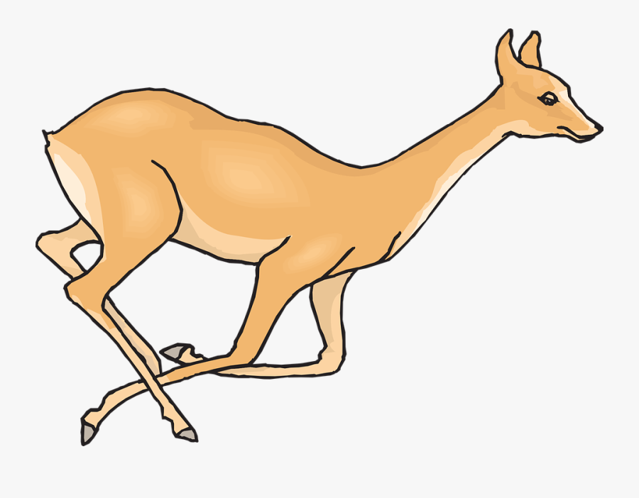 Deer, Running, Leaping, Fleeing, Wildlife, Mammal - Drawing For Running Deer, Transparent Clipart