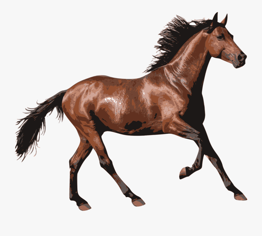 Foal,mare,horse - Horse Transparent, Transparent Clipart