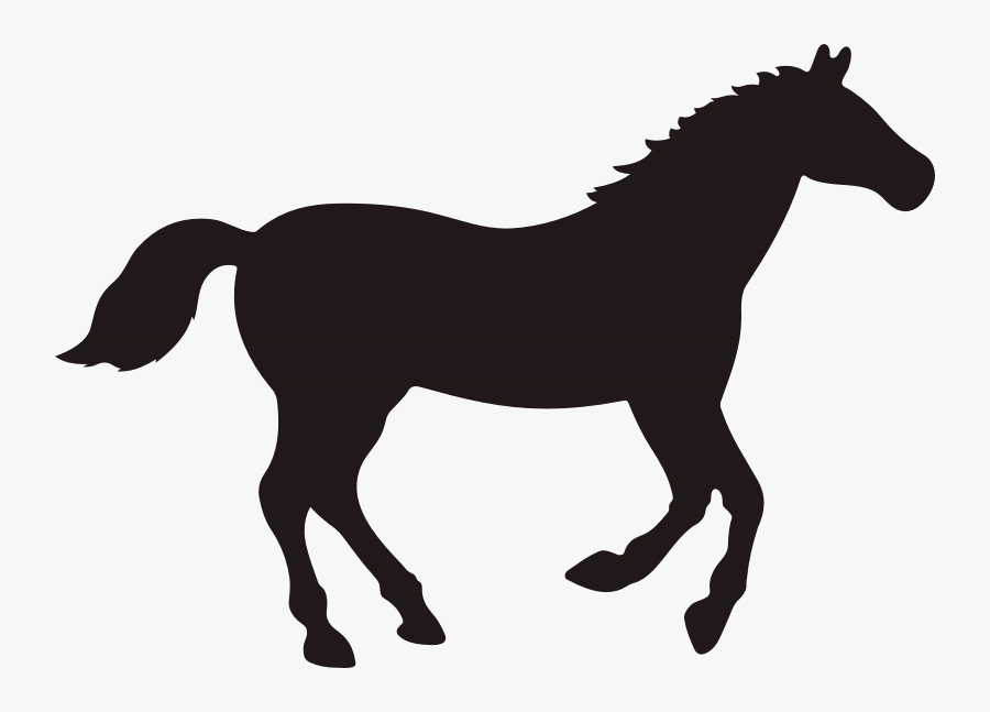 Rocky Mountain Horse Vector Graphics Clip Art Black - Horse Silhouette, Transparent Clipart