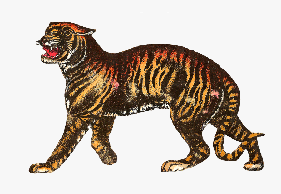 Vintage Circus Tiger Illustration, Transparent Clipart