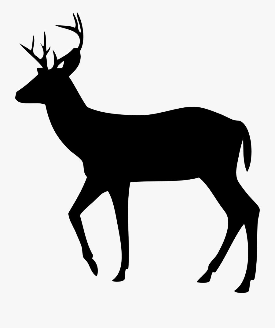 Free Svg Images Buck Deer Silhouette Free Transparent Clipart Clipartkey