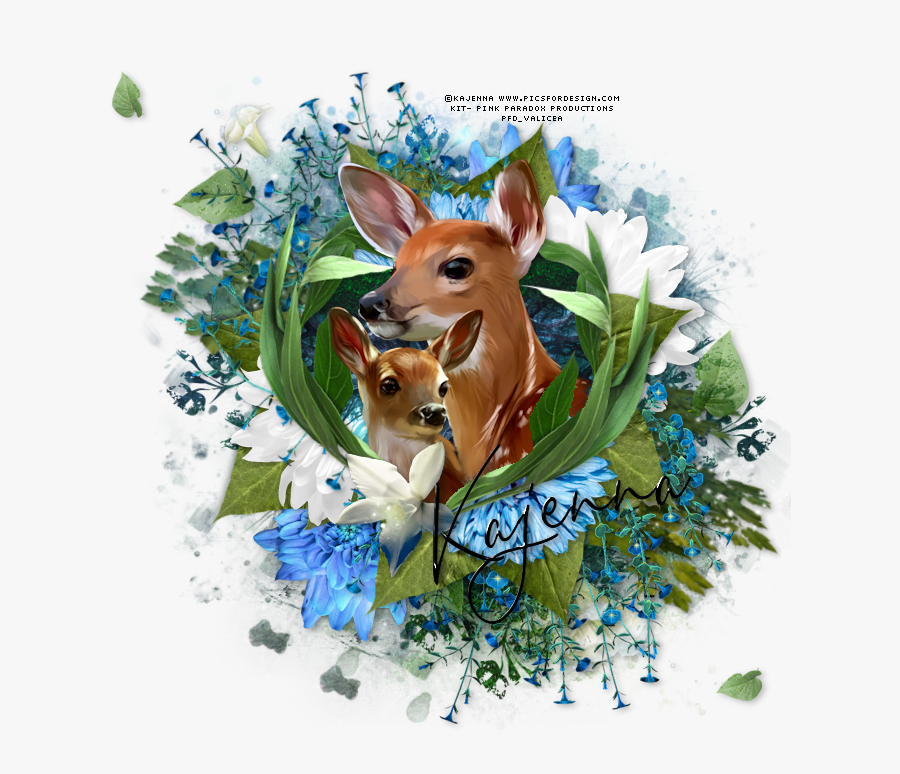 Oh Baby Deer Tag - Deer, Transparent Clipart