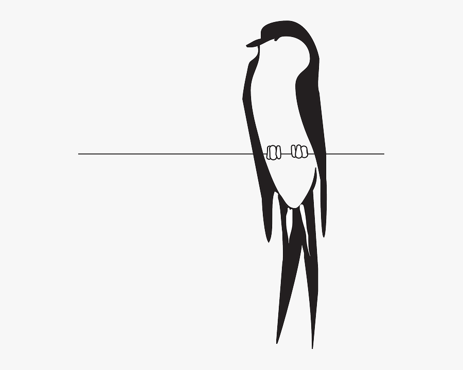 Perched Wire, Bird, Wings, Claws, Feathers, Perched - Bird On Wire Clipart, Transparent Clipart