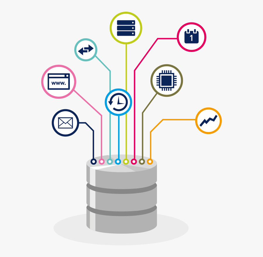 Liana Article Database - Database Performance, Transparent Clipart