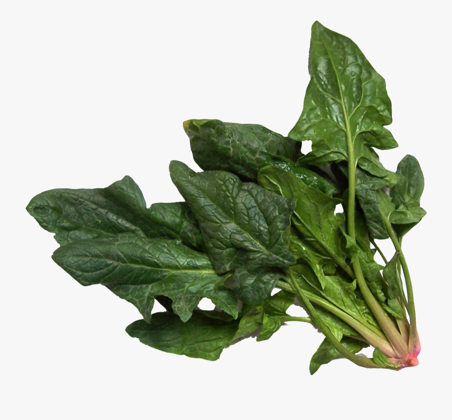 Spinach - Spinach Transparent, Transparent Clipart
