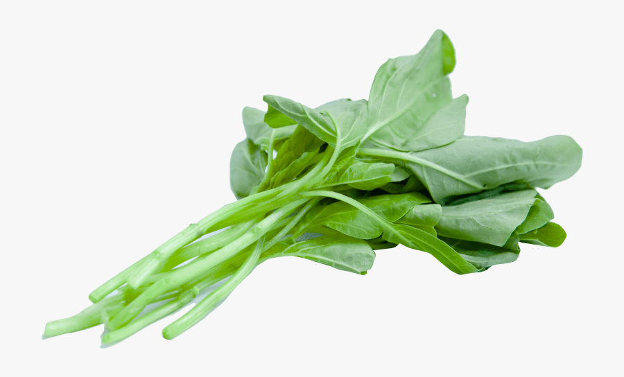 Chinese-spinach - Spinach Png, Transparent Clipart