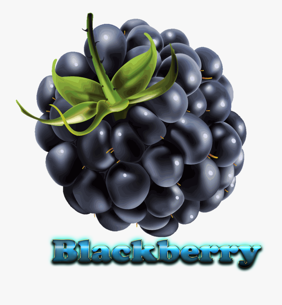 Blackberry Free Download Png - Клипарт Ягода На Прозрачном Фоне, Transparent Clipart