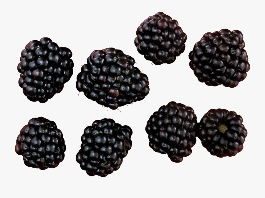 Transparent Blackberries Clipart - Blackberry Png, Transparent Clipart