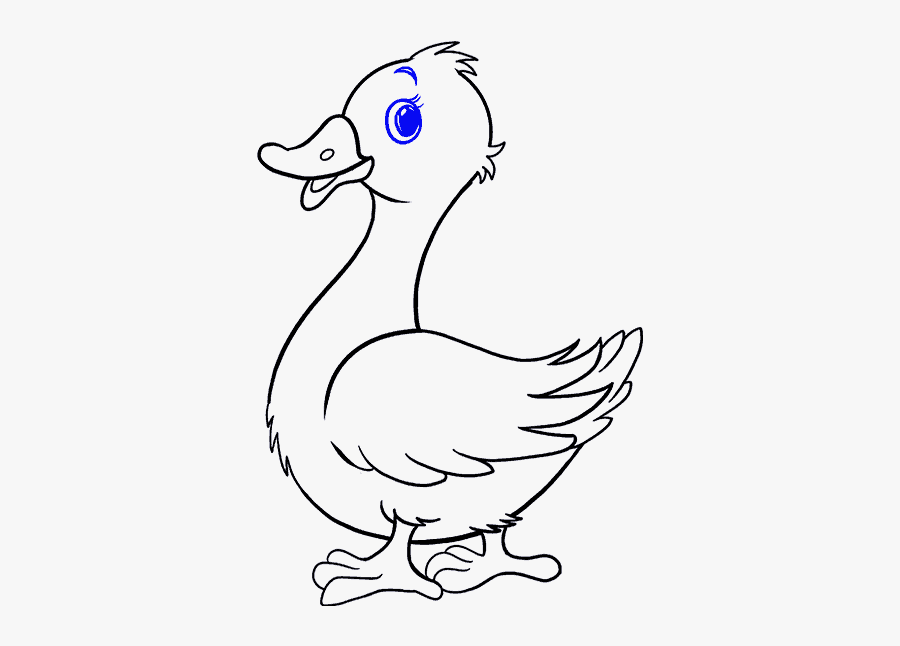 How To Draw Duck - Drawing Picture Of Duck, Transparent Clipart