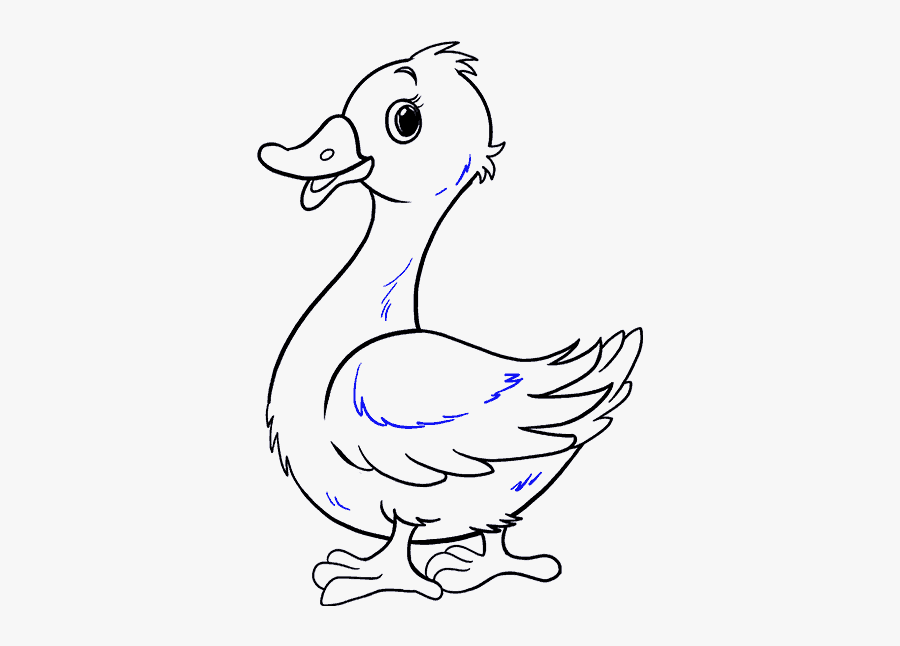 How To Draw Duck - Pato Fácil De Dibujar, Transparent Clipart