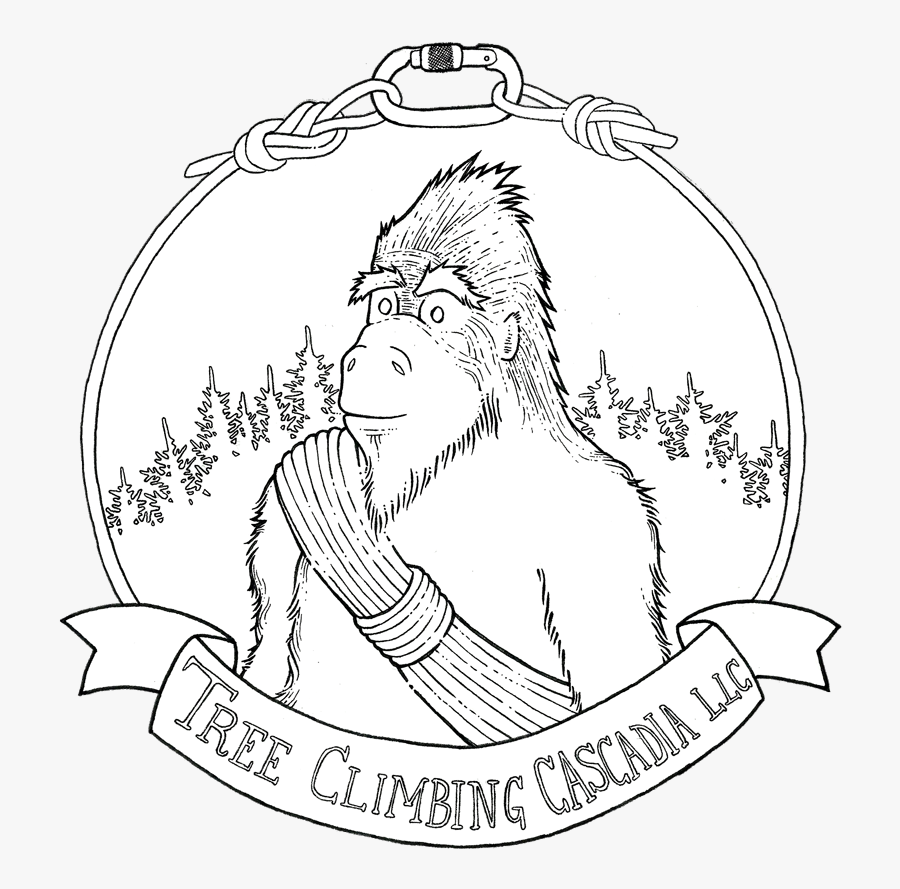Clip Art Why Tree Climbing Cascadia - Illustration, Transparent Clipart