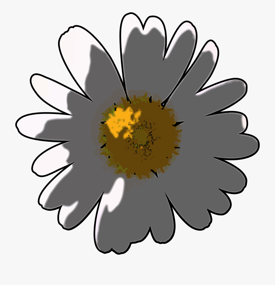 Camomile Flower Png Clipart - Daisy, Transparent Clipart