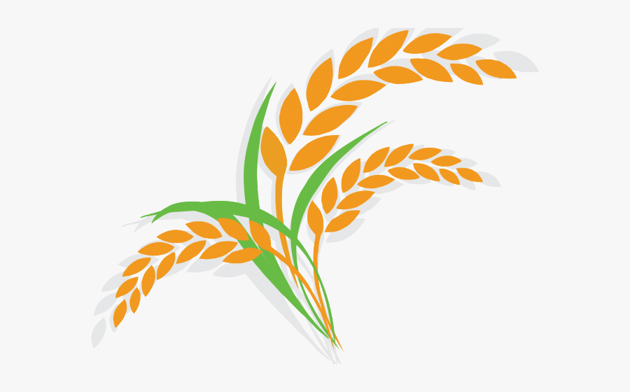 Rice Plant Clipart Png, Transparent Clipart