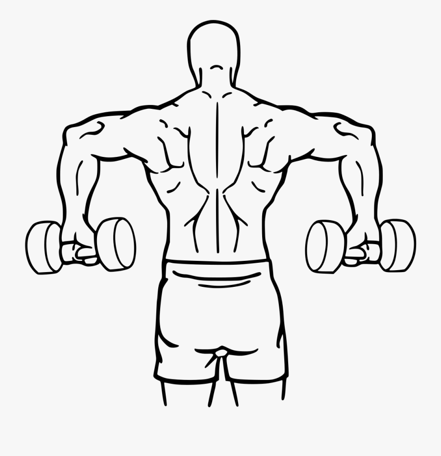 Download Dumbbell Drawing Bodybuilder Arm - Body Builder Arm Drawing, Transparent Clipart