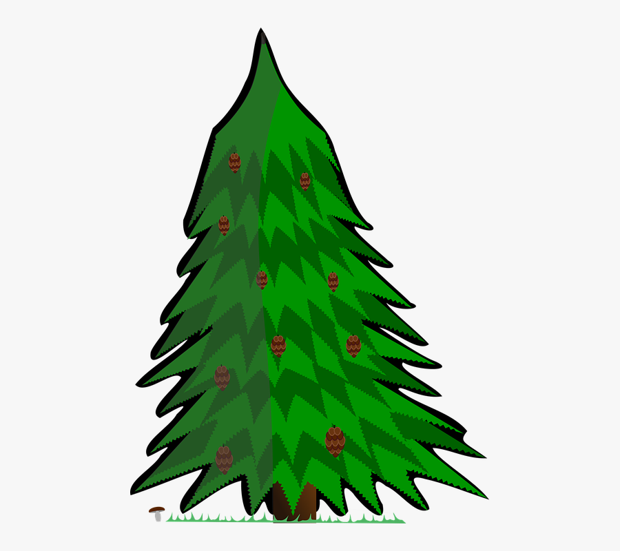 Vector Pine Tree 4, Buy Clip Art - Christmas Tree, Transparent Clipart