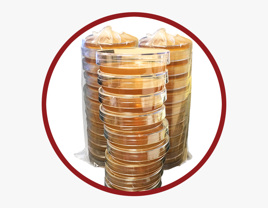 An Image Of Bsi Wort Plates - Coin, Transparent Clipart