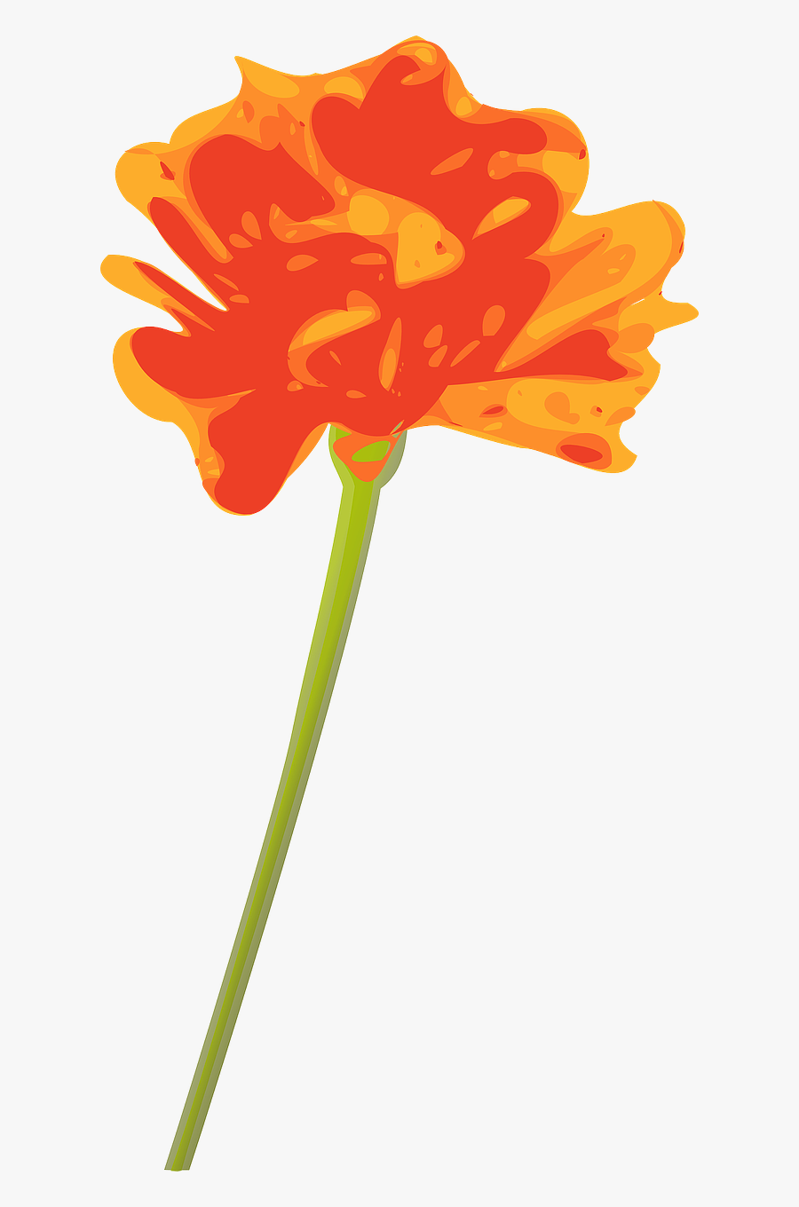 Flower Orange Single Stem Png Image - Orange Flowers With Stem, Transparent Clipart