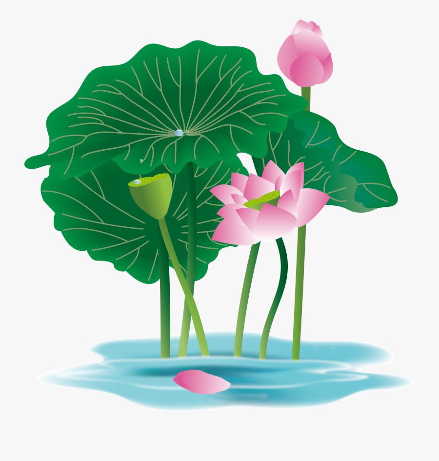 Hand Painted Plant Flower Water Lily Png And Vector - Vẽ Hoa Sen, Transparent Clipart