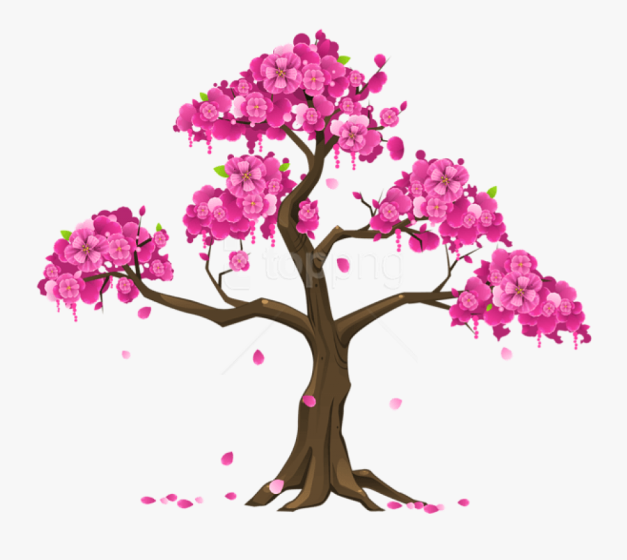 Transparent Cherry Tree Clipart - Cherry Blossom Tree Clipart, Transparent Clipart