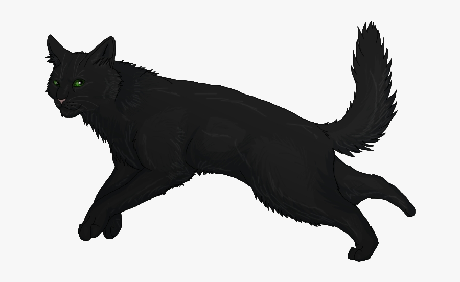 Holly Leaf Black Cat Warriors Hollyleaf Clip Art Transparent - Power Of Three Hollyleaf, Transparent Clipart