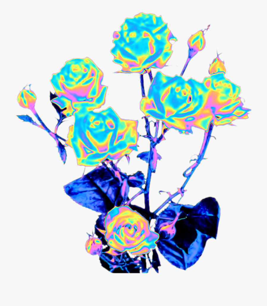 #rose #rosebush #flowers #roses #thorn #holo 
#dinaaaaaah, Transparent Clipart