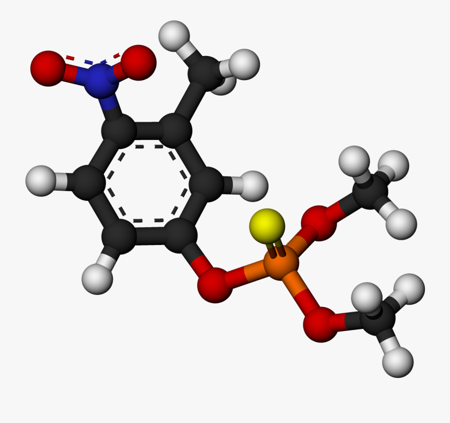 Transparent Molecule Clipart - Terephthaloyl Chloride Tcl, Transparent Clipart