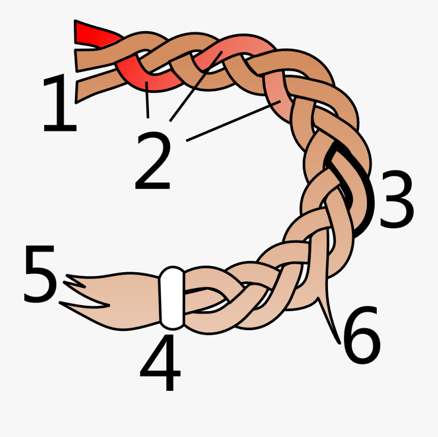 Parts Of A Hair Braid - Braid, Transparent Clipart