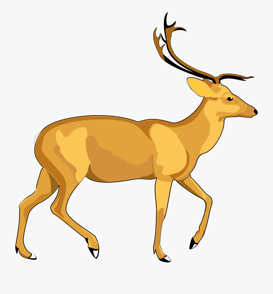 Deer Vector Png Image - Deer Vector Png , Free Transparent Clipart ...