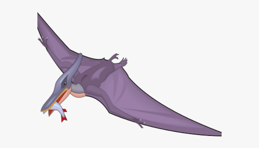 Pteranodon Clipart Png, Transparent Clipart