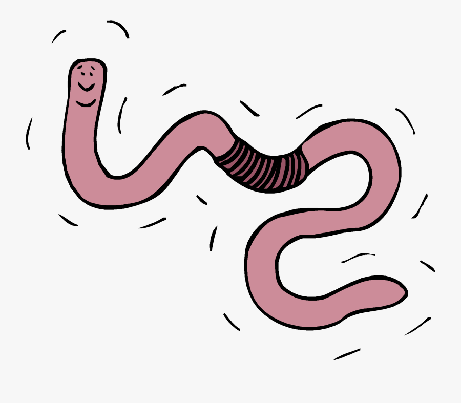 Decomposers-organisms That Break Dead Things Down So - Worm Wiggling, Transparent Clipart