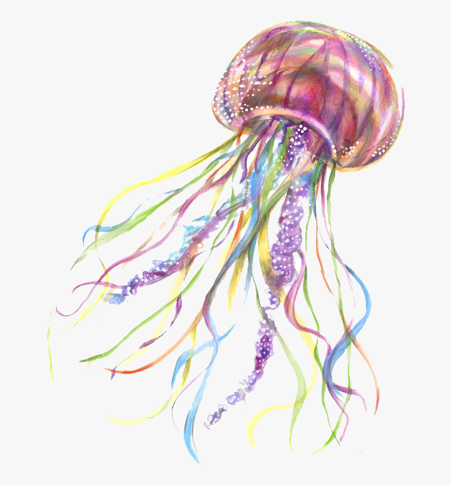 #jellyfish #fish #png #freetoedit - Transparent Background Jellyfish Transparent, Transparent Clipart