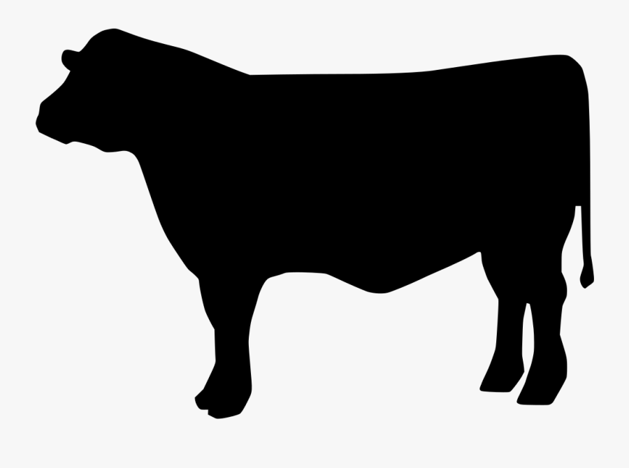 Beef Cattle Svg Clipart , Png Download - Beef Silhouette Cow Svg, Transparent Clipart