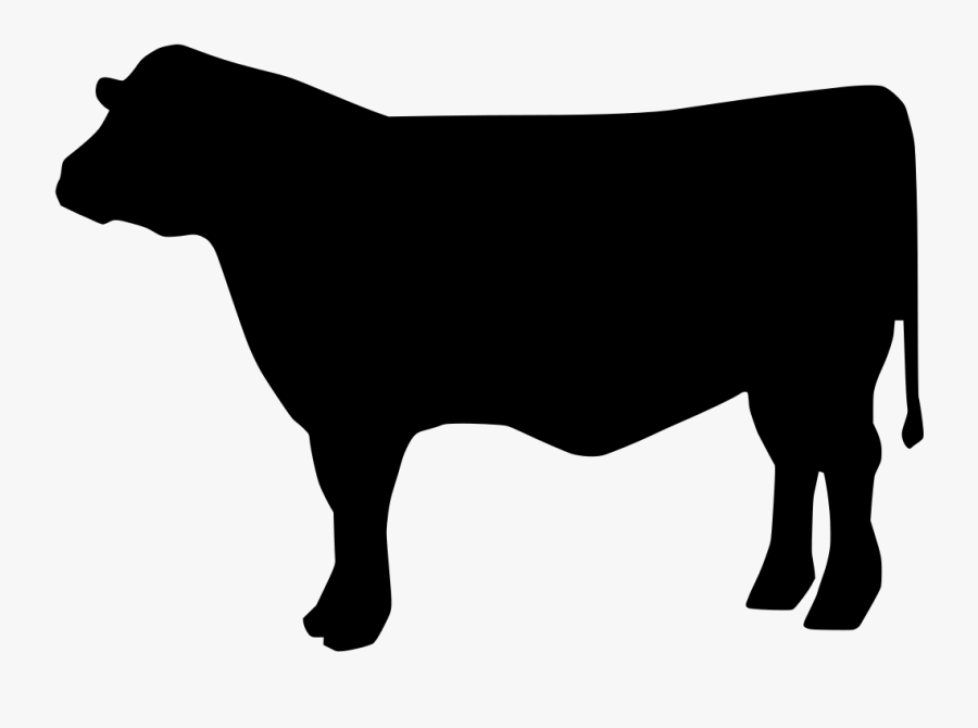 Beef Cattle Svg Clipart Png Download Beef Silhouette Cow Svg Free Transparent Clipart Clipartkey