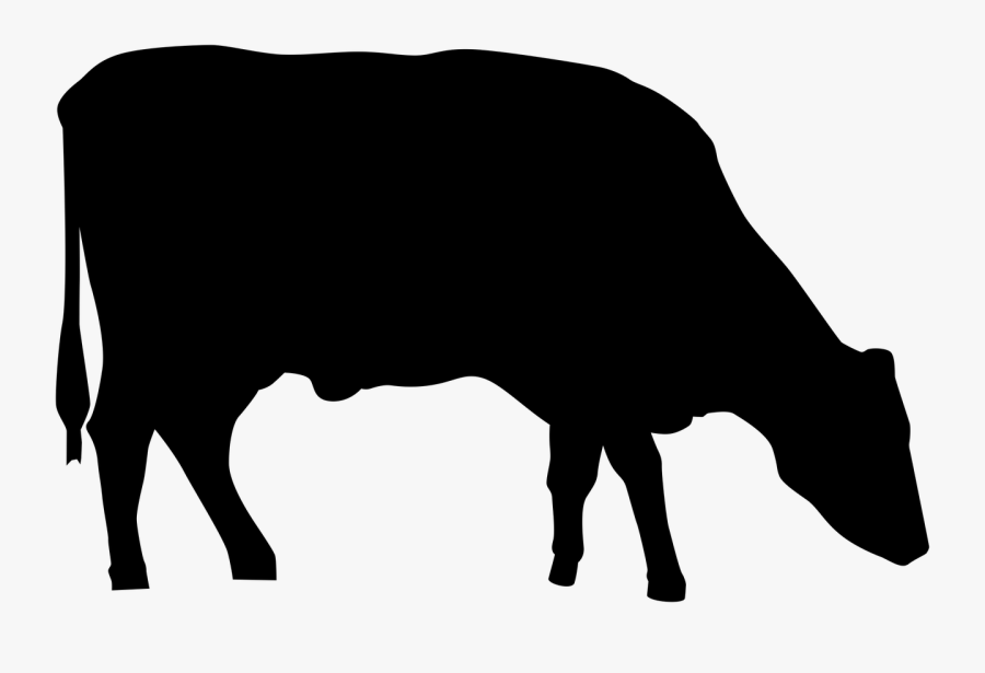 Silhouette, Cow, Animal, Farm, Symbol, Beef, Bull, - Cow Grazing Silhouette Png, Transparent Clipart