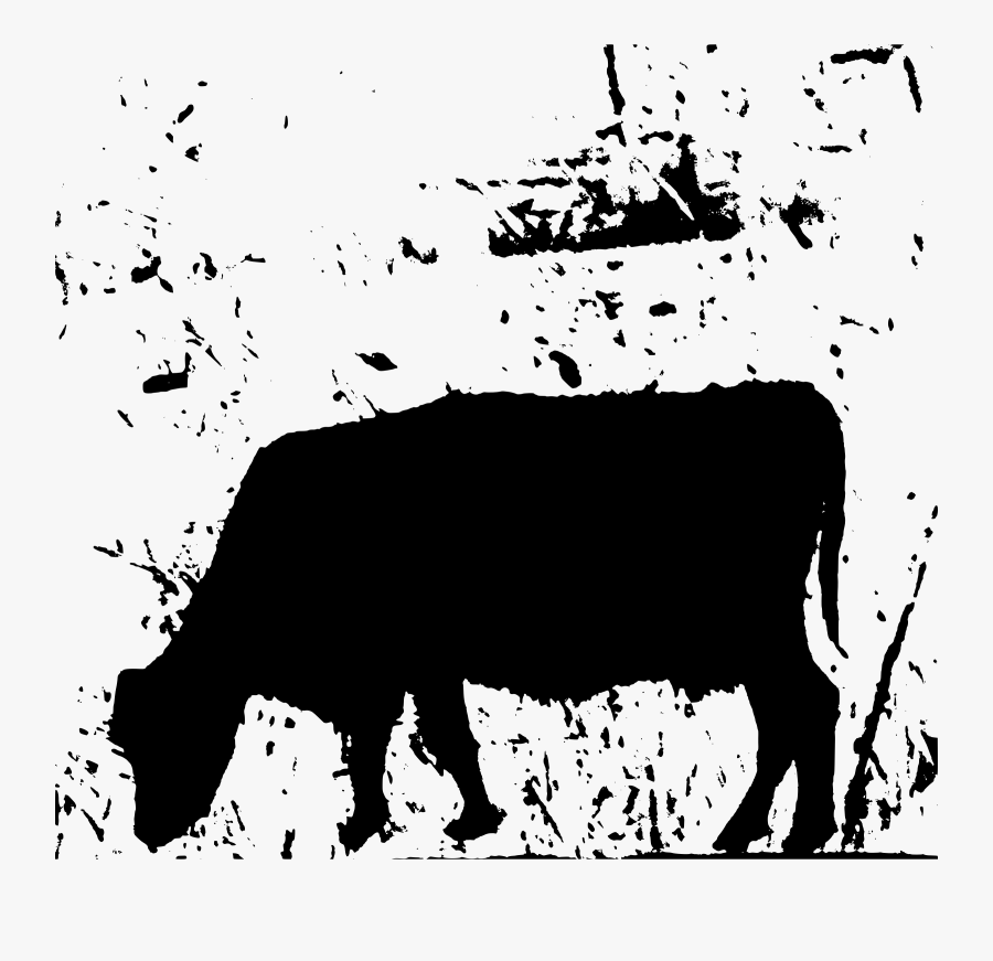 Transparent Cattle Clipart Black And White - Illustration, Transparent Clipart