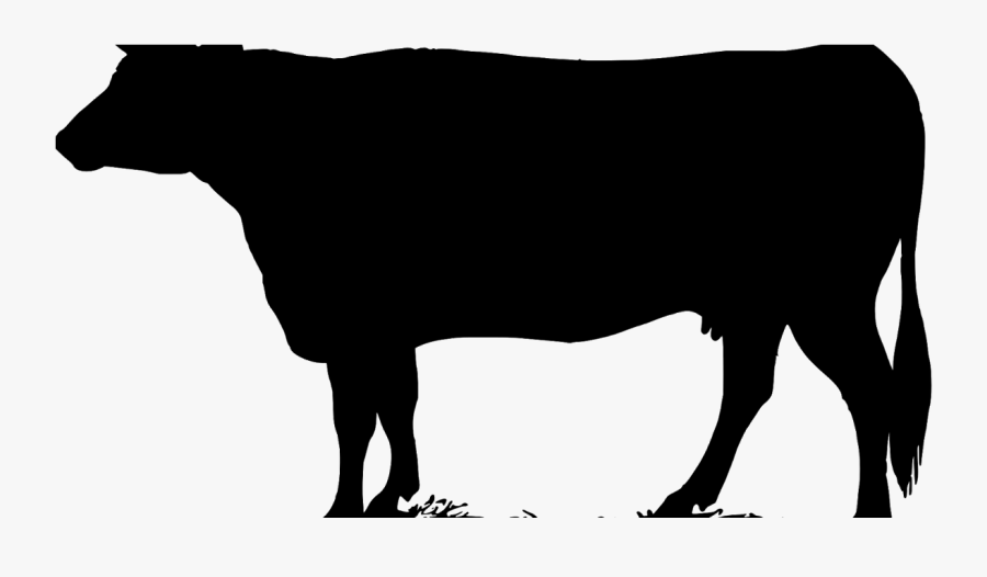 Cow, Silhouette, Animals, Farm, Black, Dairy, Milking, - Calf Black White Contour, Transparent Clipart
