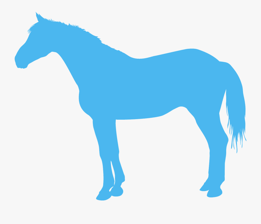 Orange Horse Silhouette, Transparent Clipart