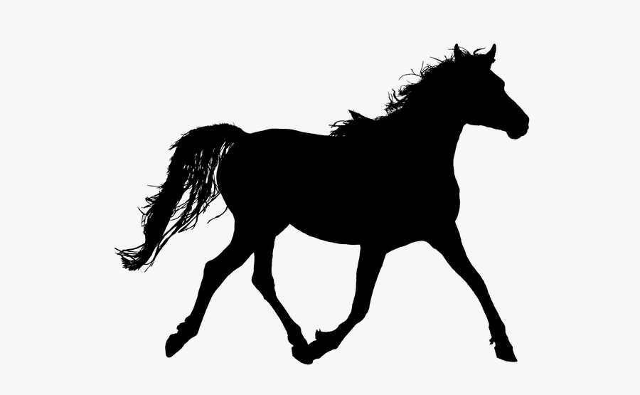 Running The Horse, Silhouette, Black, Horse Png Image - Girl Riding Horse Silhouette, Transparent Clipart