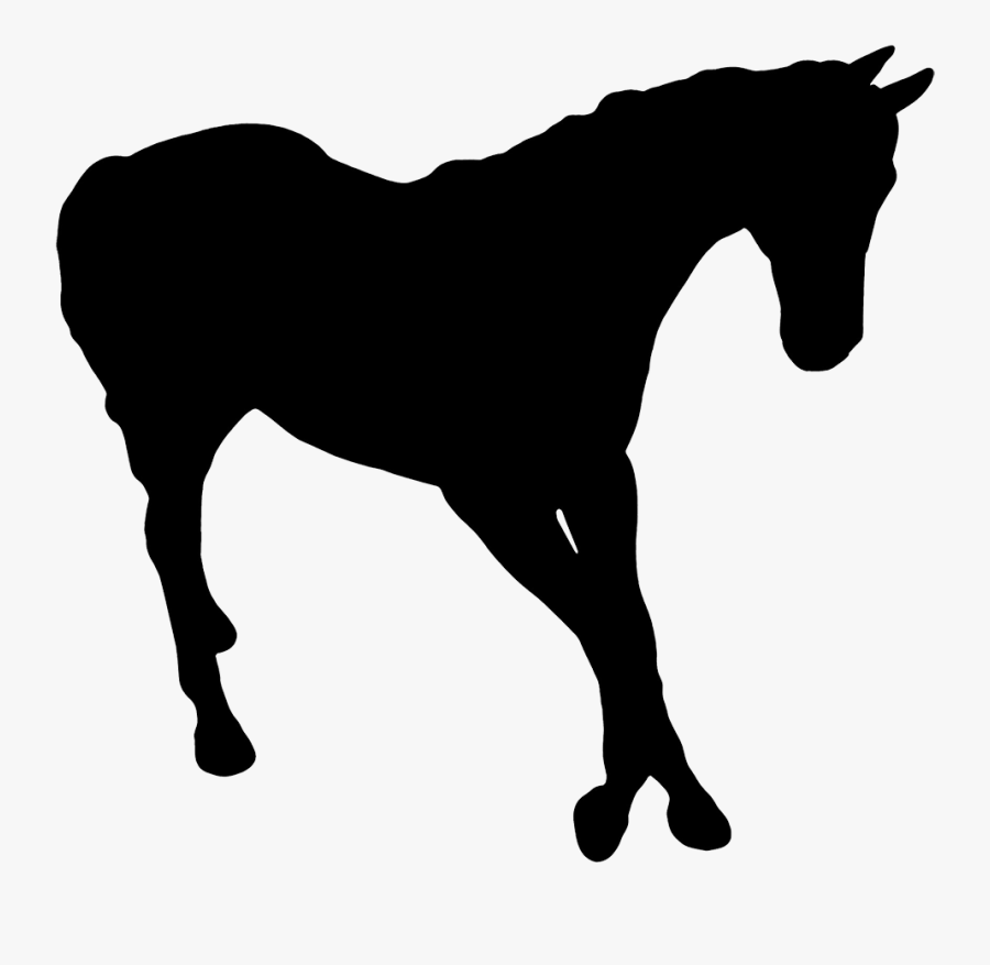 Transparent Horse Png Clipart - Dark Horse Idiom, Transparent Clipart
