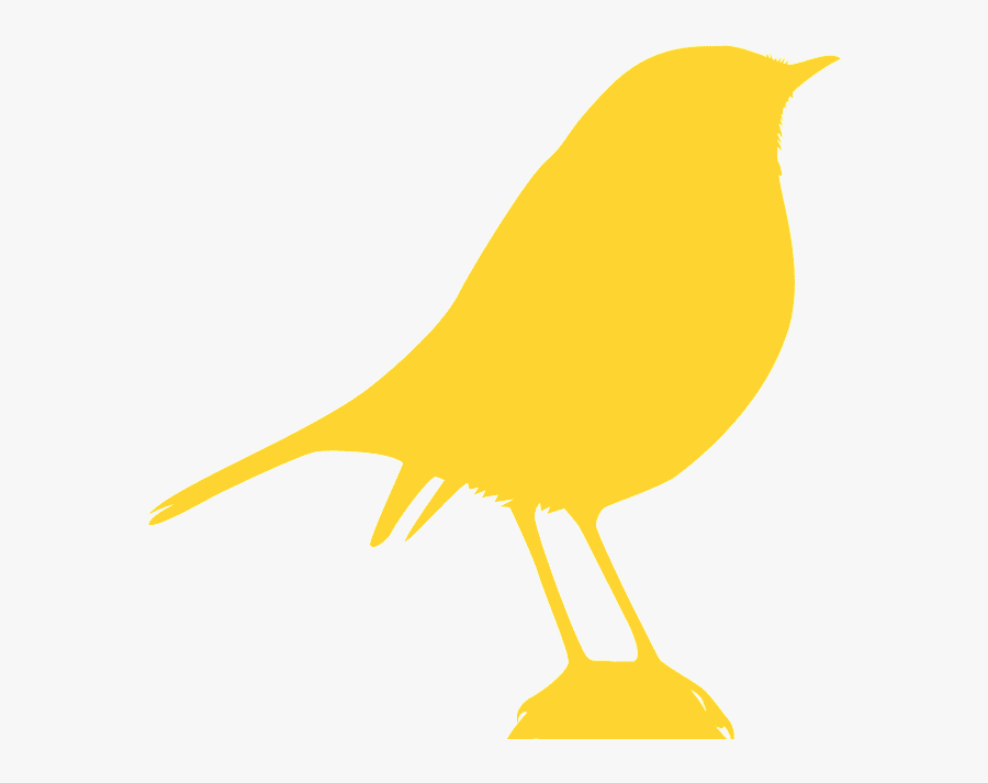 Perching Bird, Transparent Clipart